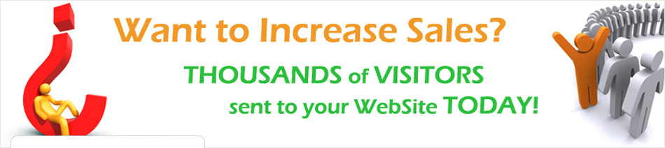 ... Website Traffic | Website Promotion | Organic SEO Expert Company in